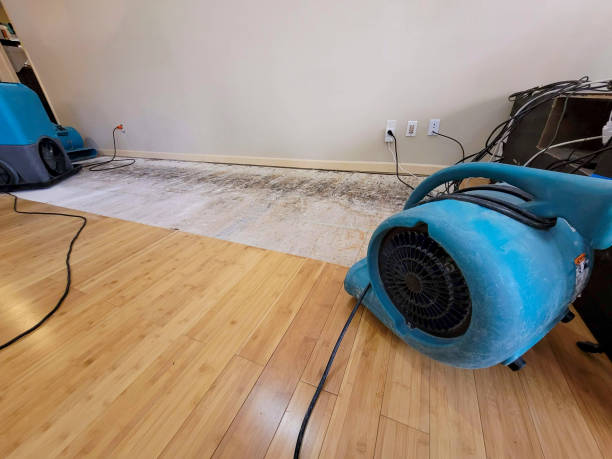 Reliable Water Extraction contractor in Ben Wheeler, TX by Hirex Water Damage
