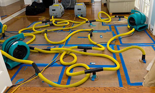 Professional Water Extraction technician working in Ben Wheeler, TX